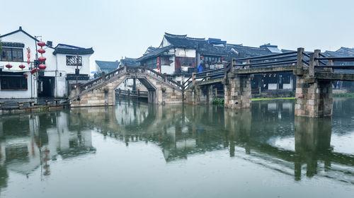植物大战僵尸20
